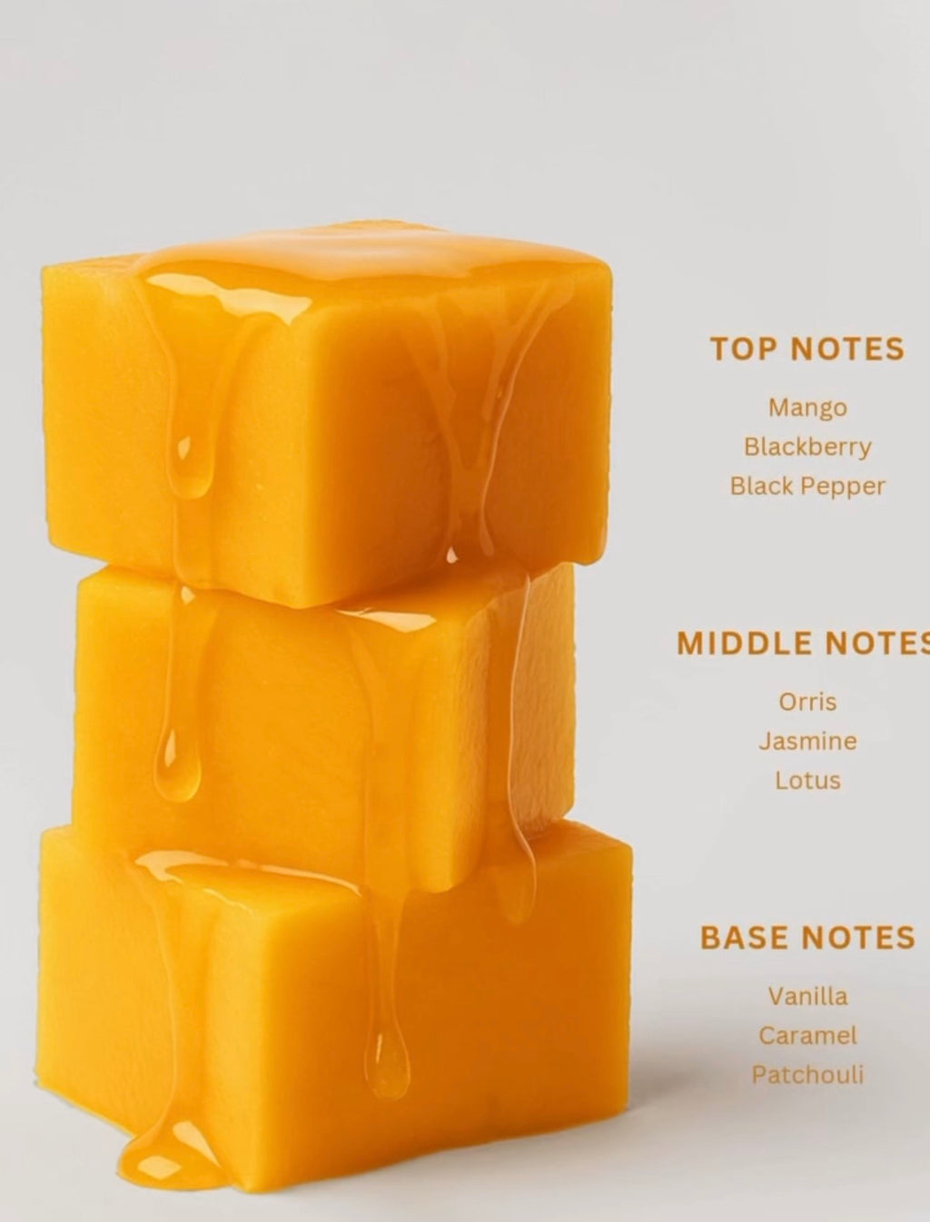 MANGO SOUFFLE CAMARA 100ml