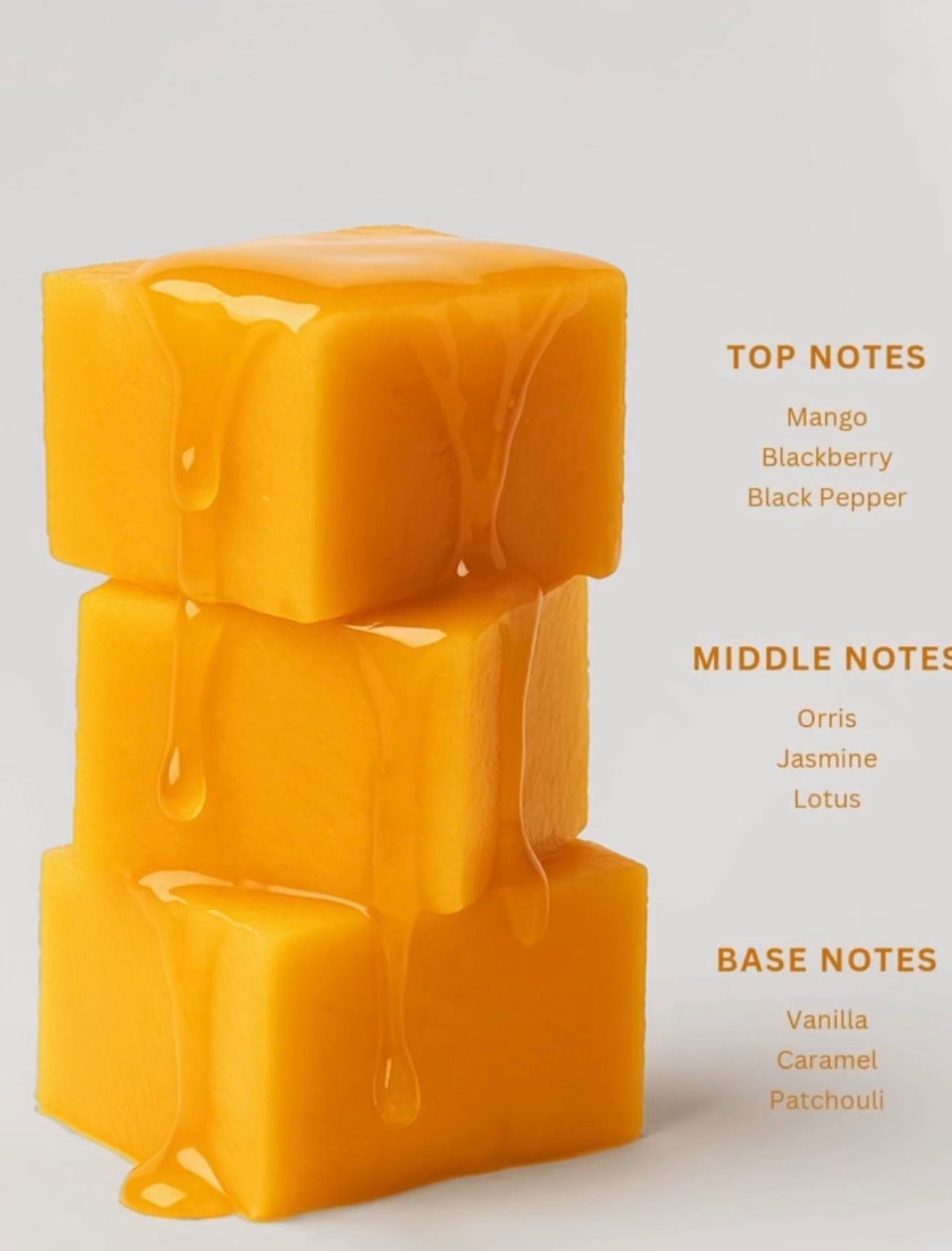 MANGO SOUFFLE CAMARA 100ml